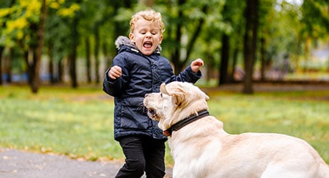 Children’s Psychological Reactions To A Dog Attack