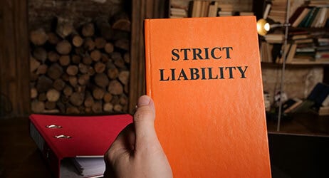 One Bite Rule Vs. Strict Liability In New York
